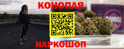 spice Дубна