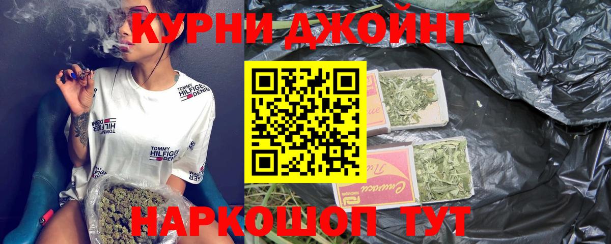 Михайловка  Бошки Шишки планчик  Вход с VPN  Канабис гибрид 